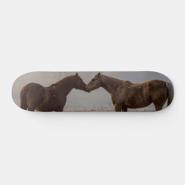 Skateboard de amor a caballo (Horz)