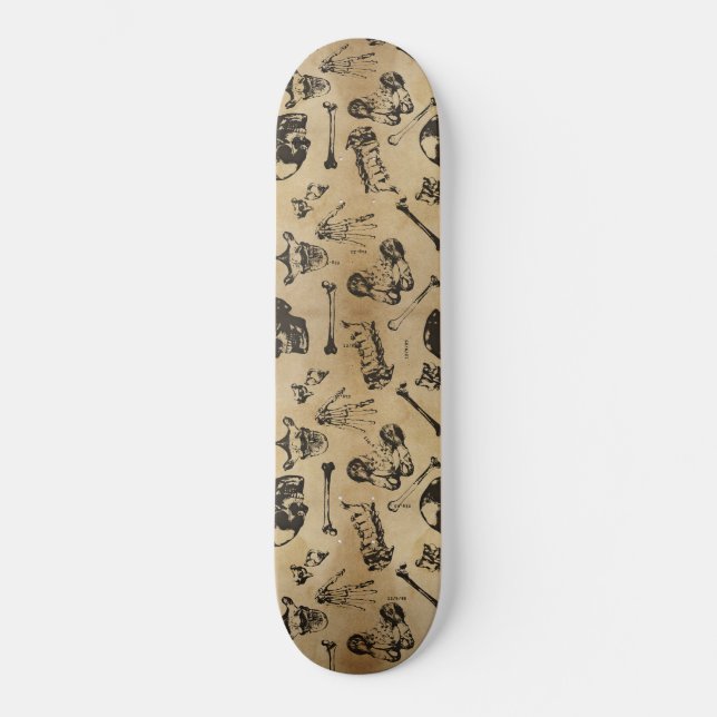 Skateboard de arqueología de la anatomía ósea (Anverso)
