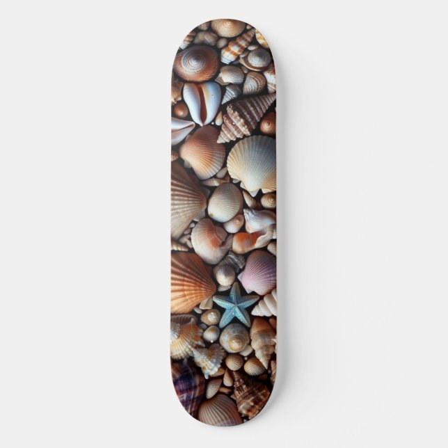 Skateboard de conchas marinas (Anverso)