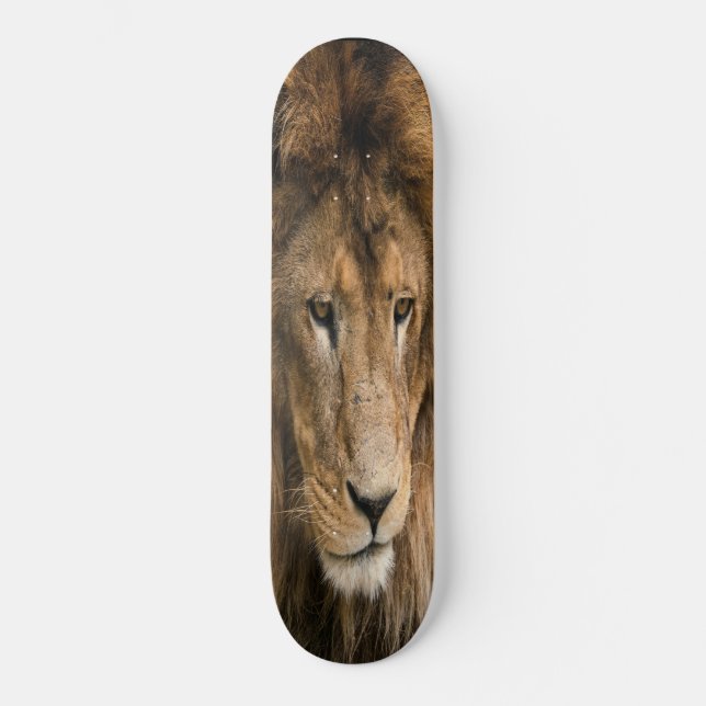 Skateboard de construcción potente LION (Anverso)