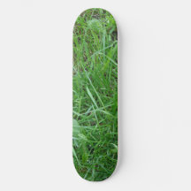 Skateboard de hierba