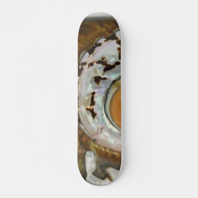 Skateboard de la cubierta marina (Anverso )