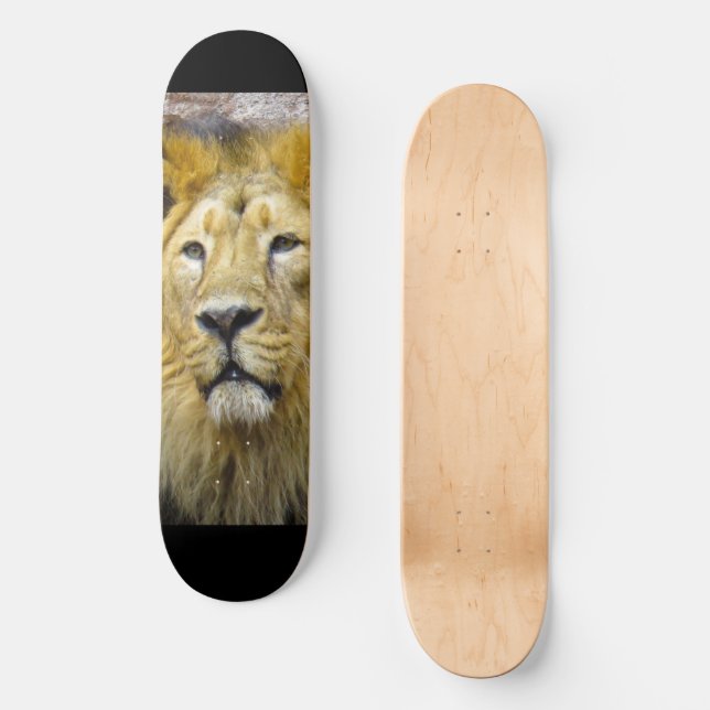 Skateboard de león (Anverso)