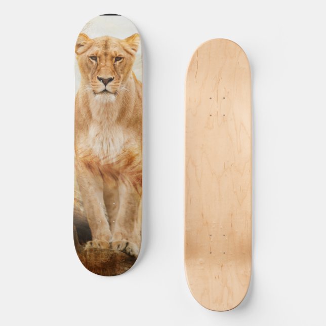 Skateboard de león (Anverso)