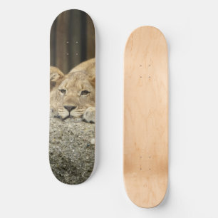 Skateboard de león