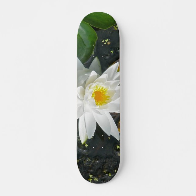 Skateboard de Lirio de Agua Blanca (Anverso )