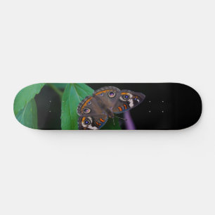 Skateboard de mariposa con foco