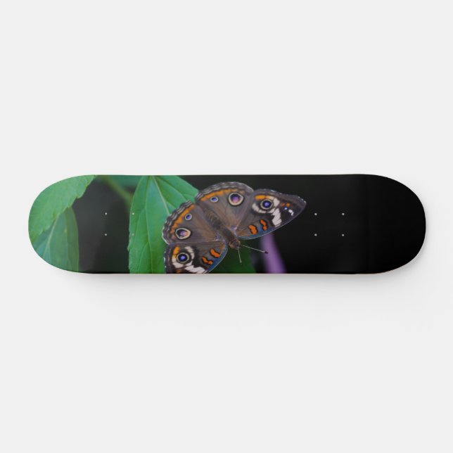 Skateboard de mariposa con foco (Horz)