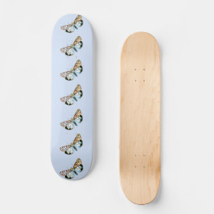 Skateboard Deiopeia pulchella - Lana de flunkey envuelta en l