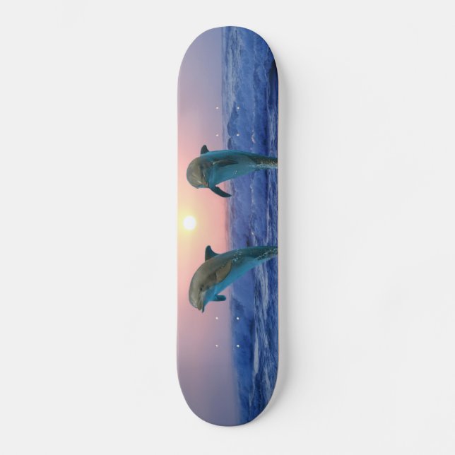 Skateboard Delfín en botella al amanecer (Anverso)