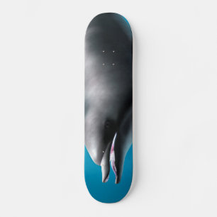 Skateboard Delfín sonriente