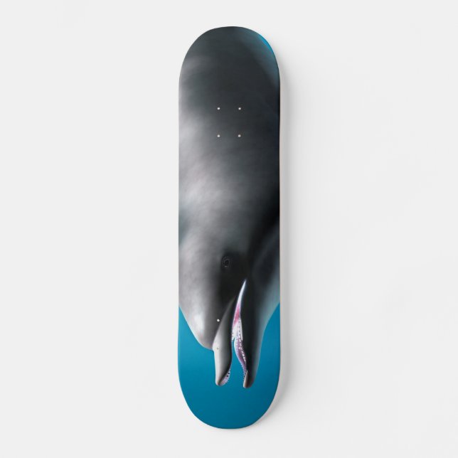 Skateboard Delfín sonriente (Anverso)