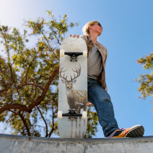 Skateboard Depósito de bosque de bosques congelado