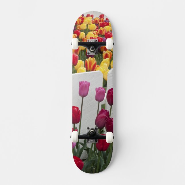 Skateboard Desfile del solsticio Fremont (Anverso)