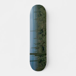 Skateboard Desierto de Arizona y Cactus