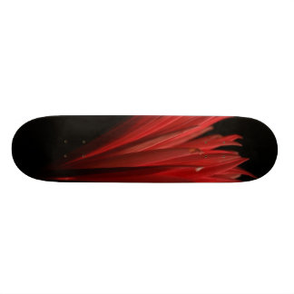 Skateboard Diseño del rojo y del negro