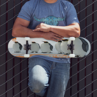 Skateboard Diversión Pingüino Al Sol