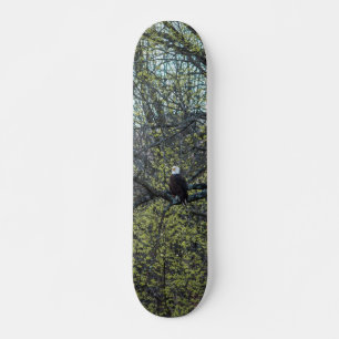 Skateboard Eagle Awareness