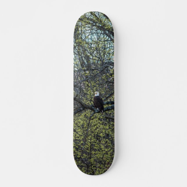 Skateboard Eagle Awareness (Anverso )