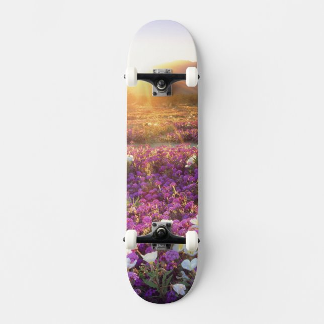 Skateboard EE. UU., California, Parque Estatal del Desierto d (Anverso)