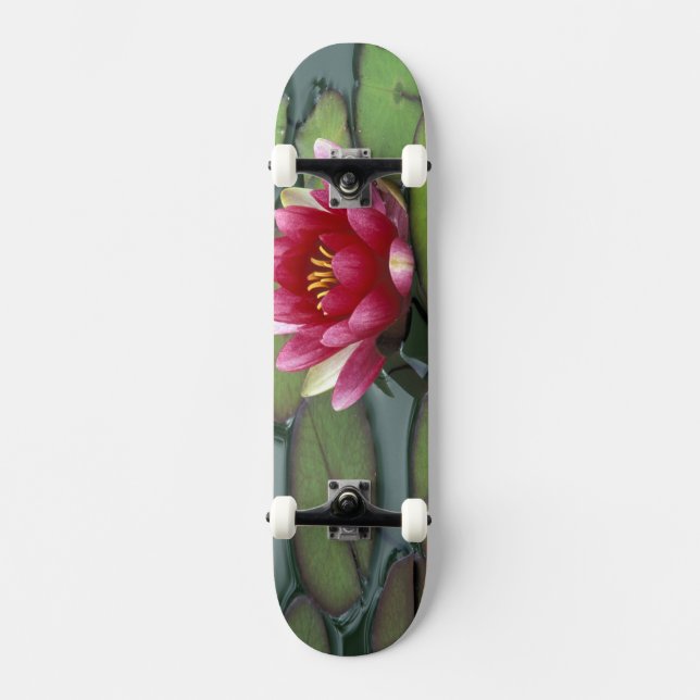 Skateboard EE. UU., Estado de Washington, Seattle. Nenúfar y (Anverso)