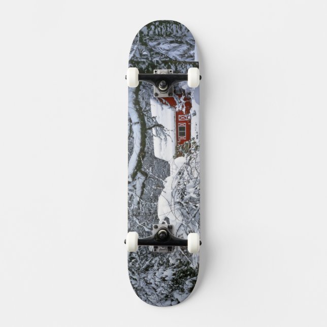 Skateboard EE. UU., Oregón, condado de Clackamas. Nieve fresc (Anverso)
