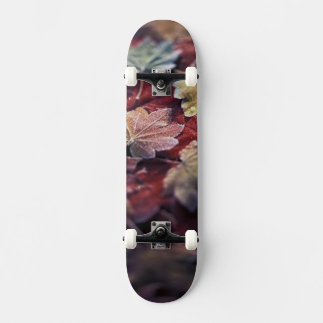 Skateboard EE. UU., Pacífico Noroeste. Hojas de arce japonés (Anverso)