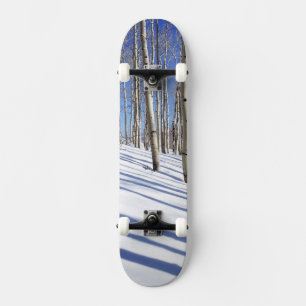 Skateboard EE.UU., Utah, Bosque Nacional Dixie, Aspen Grove
