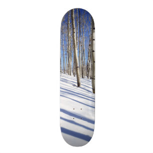 Skateboard EE.UU., Utah, Bosque Nacional Dixie, Aspen Grove