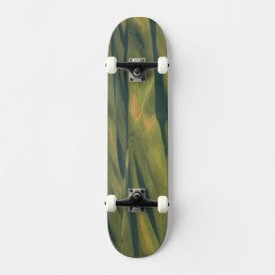 Skateboard EE. UU., WA, Condado de Whitman, Campos de cultivo