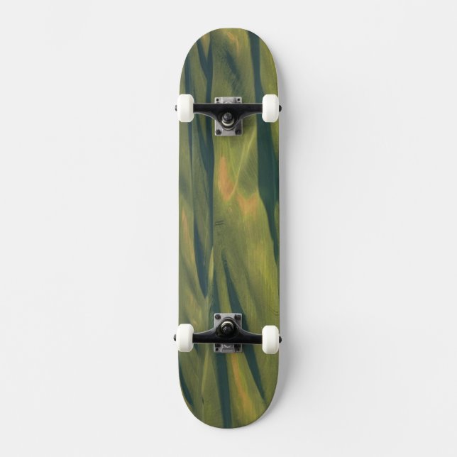 Skateboard EE.UU., WA, Whitman Co., Palouse Farm Fields (Anverso)