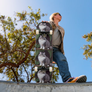 Skateboard El Banjo del persa: Un deslumbrante gris y blanco