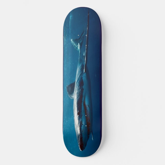 Skateboard El depredador del tiburón azul en patineta. (Anverso)