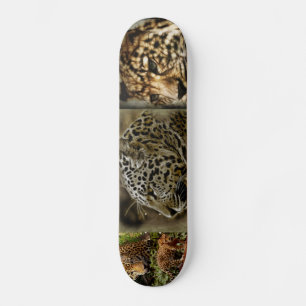 Skateboard El gato salvaje de Jaguar mancha destino africano