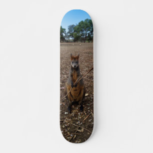 Skateboard El Joven Marrón Australiano Wallaby Comiendo Un Pa