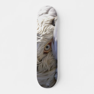 Skateboard El ojo de un pelícano