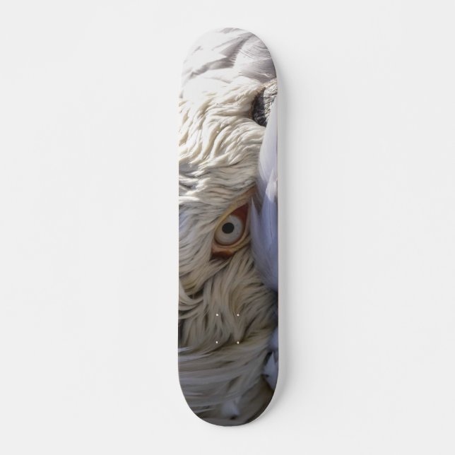 Skateboard El ojo de un pelícano (Anverso )