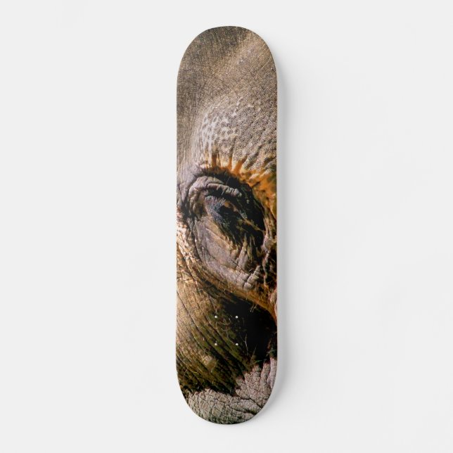 SKATEBOARD ELEFANTE (Anverso)