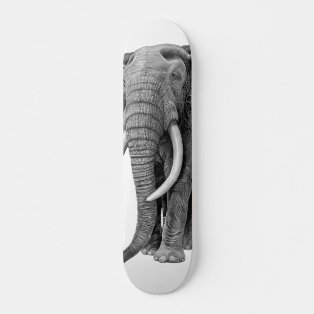 Skateboard Elefante de toros - Dibujo a lápiz (Anverso )