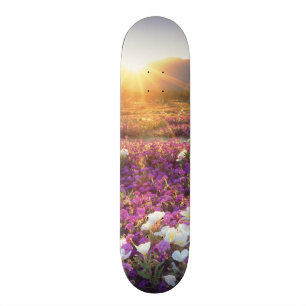 Skateboard Estados Unidos, California, Parque Estatal del Des