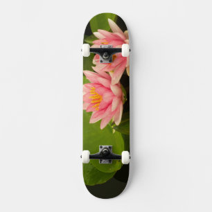 Skateboard Estados Unidos, DC, Washington, Kenilworth 4