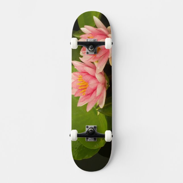 Skateboard Estados Unidos, DC, Washington, Kenilworth 4 (Anverso)