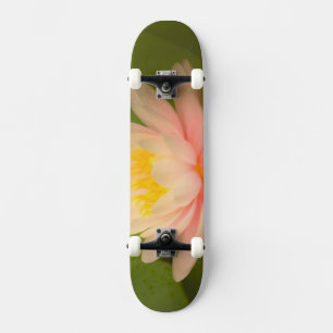 Skateboard Estados Unidos, Maryland, Westminster, Unión
