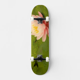 Skateboard Estados Unidos, Maryland, Westminster, Union 2