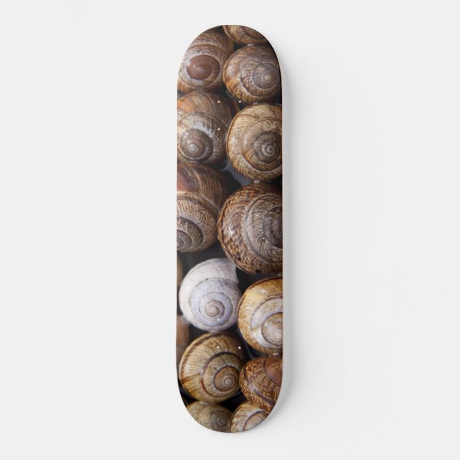 Skateboard Estanques de caracol (Anverso)