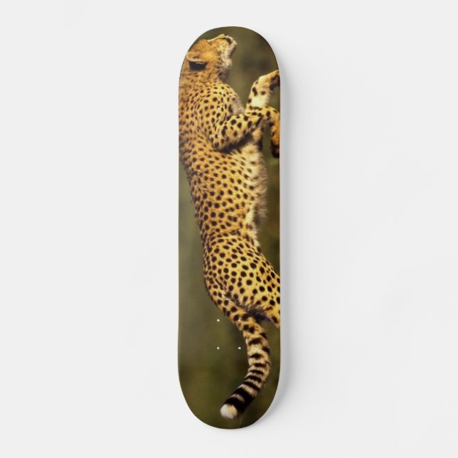 Skateboard estilo del cheeta (Anverso)
