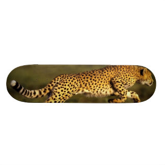 Skateboard estilo del cheeta
