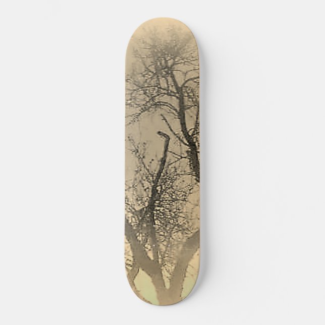 SKATEBOARD ESTILO Y DISEÑO DE PATINAJE (Anverso)