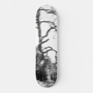SKATEBOARD ESTILO Y DISEÑO DE PATINAJE