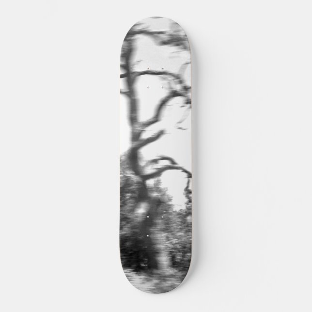 SKATEBOARD ESTILO Y DISEÑO DE PATINAJE (Anverso)